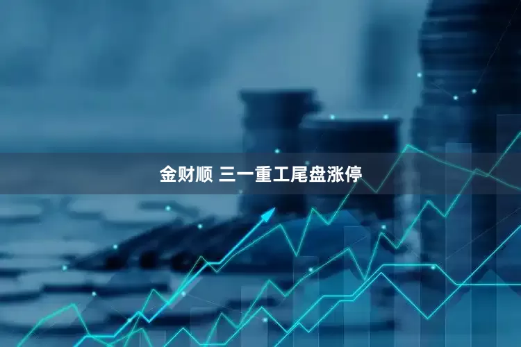 金财顺 三一重工尾盘涨停
