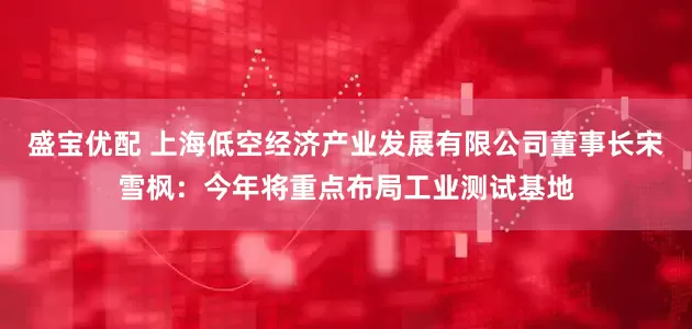 盛宝优配 上海低空经济产业发展有限公司董事长宋雪枫：今年将重点布局工业测试基地