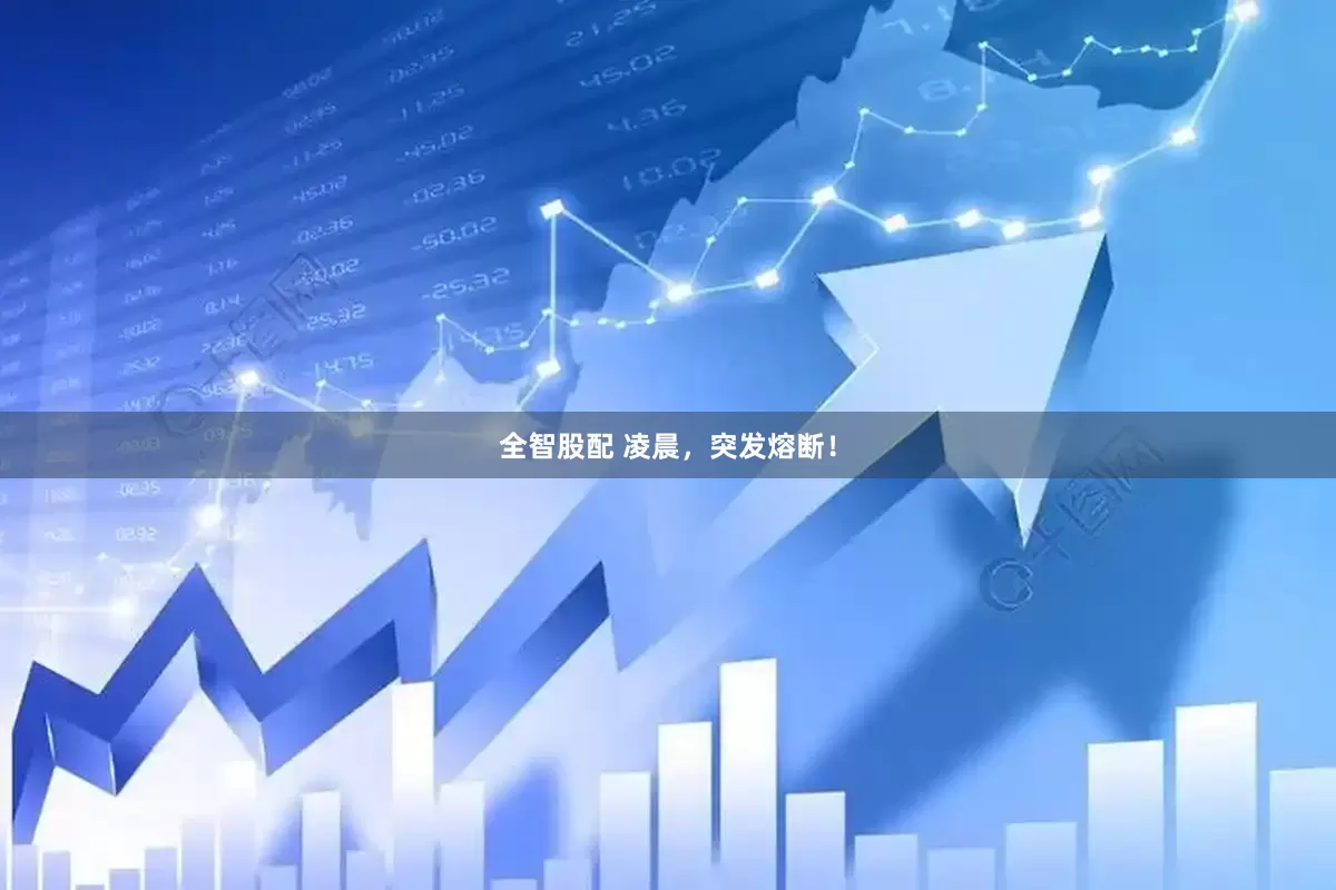 全智股配 凌晨，突发熔断！