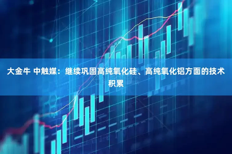 大金牛 中触媒：继续巩固高纯氧化硅、高纯氧化铝方面的技术积累