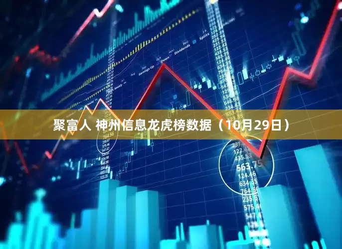 聚富人 神州信息龙虎榜数据（10月29日）